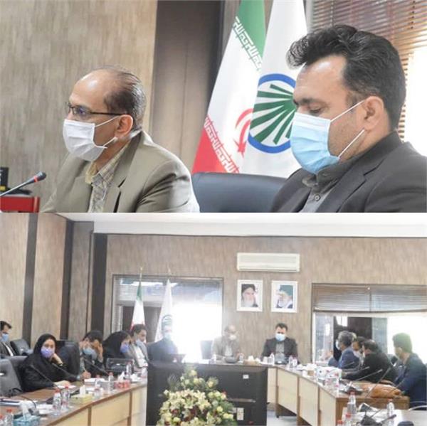 نوزدهمین جلسه کارگروه توسعه دولت الکترونیکی و هوشمند سازی اداری استان فارس برگزار شد