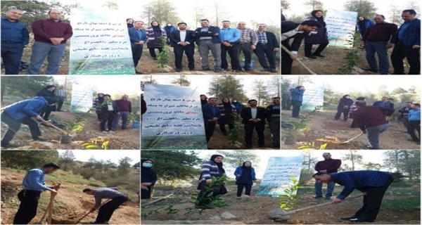 غرس 5 اصله نهال نارنج به یاد شهدای حمله تروریستی حرم شاهچراغ (ع)