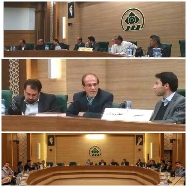 شهرداری باید از کسب و کارهای نوپا حمایت کند